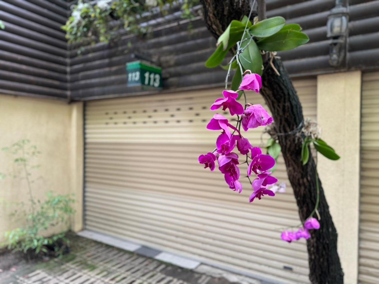 Ivy Motel Chiayi Extérieur photo