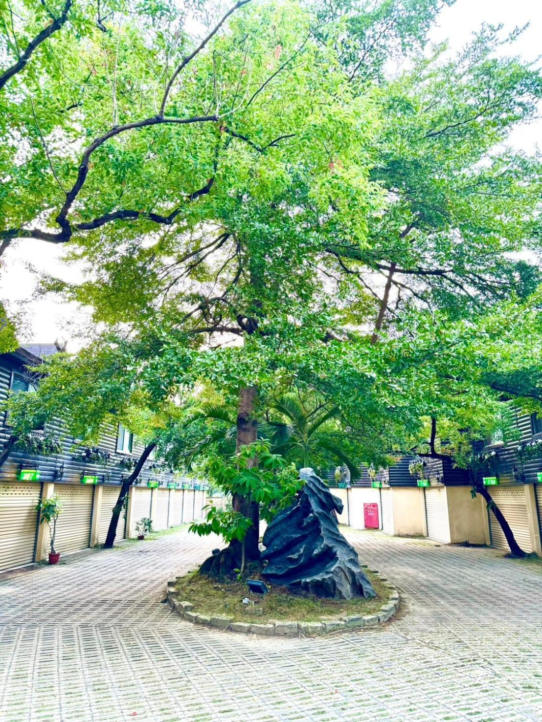 Ivy Motel Chiayi Extérieur photo